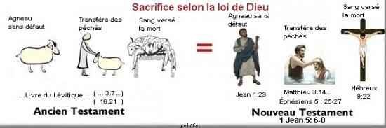 Ne croyez pas que je sois venu pour abolir la loi ou les prophètes; je suis venu non pour abolir, mais pour accomplir.
